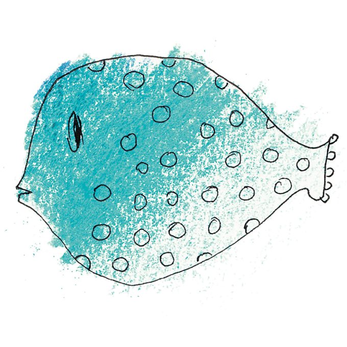 spiele-memore-fische-2